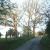 The three historic oak trees in front of the main house.